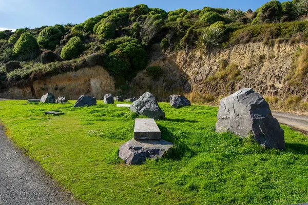 Taşlı ve Yeşillikli Manzaralı Çimen Bölgesi
