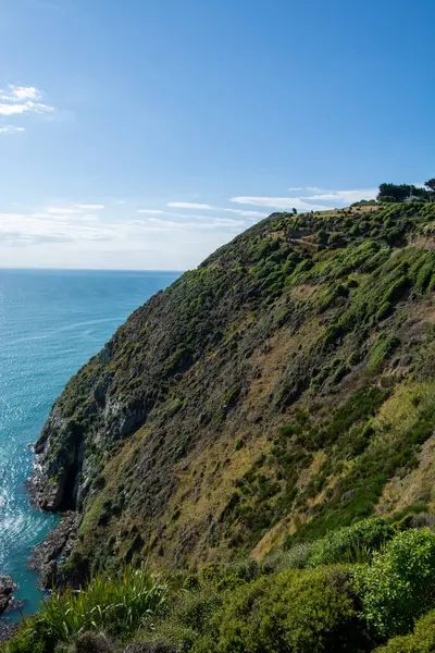 Lush Green Hillside ile Sahne Kıyı Manzarası