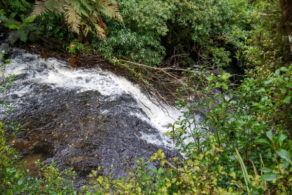 Yükselen şelale yemyeşil ile çevrili.
