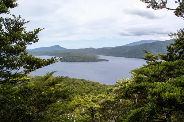 Bereketli yeşil ormanlarla çevrili sakin bir körfezin manzarası ve bulutlu bir gökyüzünün altındaki uzak dağlar..