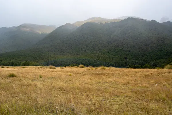 Sis içinde yuvarlanan tepeler ve dağlardan oluşan sakin bir manzara. Ön planda kuru çimenli bir çim tarlası yer alırken, arka planda yoğun yeşil ormanlar ve engebeli dağ zirveleri yer alıyor..
