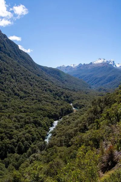 Bereketli yeşil bir vadinin manzarası kıvrımlı bir nehir ile çevrili orman dağları ve açık mavi gökyüzünün altında karla kaplı tepeler..
