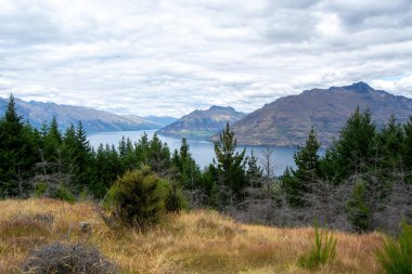 Dağlarla çevrili bir göl manzarası ve bulutlu bir gökyüzünün altında çam ağaçları..