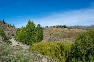 Yuvarlanan tepeler, yemyeşil ağaçlar ve açık mavi bir gökyüzü içeren manzaralı bir manzara. Ön planda bir dolambaçlı yol ve çeşitli ağaçlar var, sakin bir açık hava ortamı yaratıyorlar..