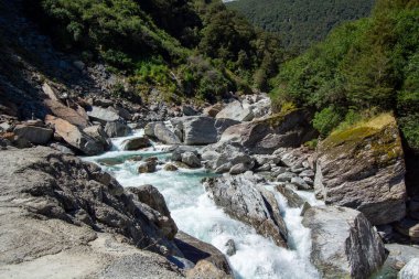 Bereketli yeşil bir vadiden akan kayalık bir nehrin manzarası. Su berrak ve çalkantılı, sarp kayalıklar ve yoğun bitki örtüsüyle çevrili..