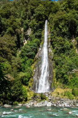 Büyüleyici bir şelale, yemyeşil ormanlarla çevrili kayalık bir uçurumdan aşağı yuvarlanıyor. Su aşağıdaki temiz bir nehre akar ve sakin bir doğal manzara yaratır..