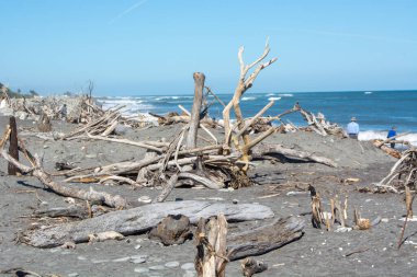Kumlu kıyıya dağılmış sürüklenen ağaç dalları ve doğal enkazlardan oluşan manzaralı bir sahil manzarası. Okyanus dalgaları, berrak mavi gökyüzünün altında yavaşça süzülüyor. Uzaktaki birkaç insan manzaranın tadını çıkarıyor..
