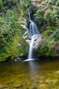 Serin bir şelale kayalık kayalıklardan süzülüp yemyeşil bir havuza dökülüyor. Su yavaşça akar ve huzurlu bir atmosfer yaratır..