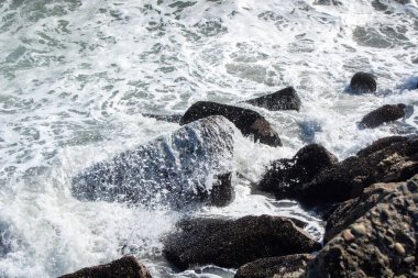 Dalgalar kayalık kıyı şeridine çarpıyor, sıçramalar ve köpükler yaratıyor. Sahne suyun dinamik hareketini ve kayaların engebeli dokusunu yakalıyor..