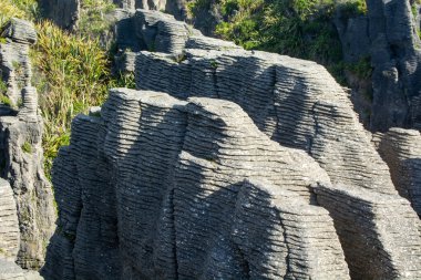 Yeşilliklerle çevrili, belirgin yatay çizgileri olan katmanlı kaya oluşumlarının yakın görüntüsü. Kayaların dokusu ve desenleri çarpıcı bir doğal manzara yaratır..