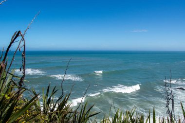 Açık mavi gökyüzünün altında okyanus manzarası ve yumuşak dalgalar. Bereketli yeşil bitkiler ön planı çerçeveleyerek, kıyı manzarasına biraz doğa katıyor..
