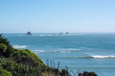 Berrak mavi bir gökyüzü, yumuşak dalgalar ve uzakta kayalık çıkıntılar içeren sakin bir kıyı manzarası. Ön plandaki gür yeşillik sahnenin doğal güzelliğine katkı sağlar..