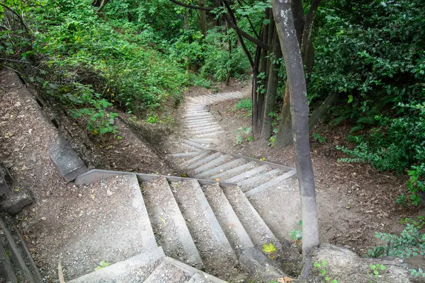 Sarmal taş bir merdiven, sık yapraklar ve ağaçlarla çevrili yemyeşil bir ormandan aşağı iner..