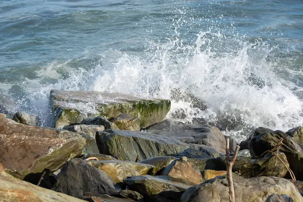 Dalgalar kayalık kıyı şeridine çarpıyor, sıçramalar ve köpükler yaratıyor. Sahne su ve taşlar arasındaki dinamik etkileşimi yakalar, güneş ışığı sudan yansıyarak..