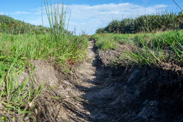 Dar bir toprak yol. Etrafı yemyeşil çimlerle ve mavi gökyüzünün altında dağınık bulutlarla çevrili..