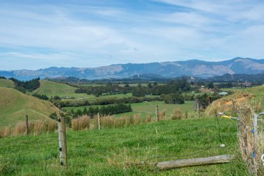 Yuvarlanan yeşil tepeler, yemyeşil bir vadi ve ince bulutlu mavi gökyüzünün altındaki uzak dağlardan oluşan manzaralı bir manzara. Ön planda çim ve eskrim manzaraya derinlik katar.