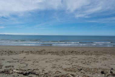 Açık mavi gökyüzünün altında dalgaların kıyıya vurduğu sakin bir sahil sahnesi. Kumlu sahil, ayak izleri ve sürüklenen ağaçlarla kaplı. Huzurlu bir atmosfer yaratıyor..