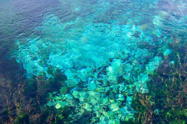 Temiz turkuaz suyun havadan görünüşü canlı mercan resiflerini ve sualtı bitki örtüsünü ortaya çıkarıyor. Güneş ışığı yüzeyde parıldayan desenler yaratır, deniz ekosisteminin güzelliğini arttırır..