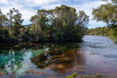 Bereketli yeşillik ve temiz suyun yer aldığı sakin bir nehir manzarası. Nehir etrafındaki ağaçlar ve bitkileri yansıtarak sakin bir atmosfer yaratır. Doğa ve manzara temaları için ideal.