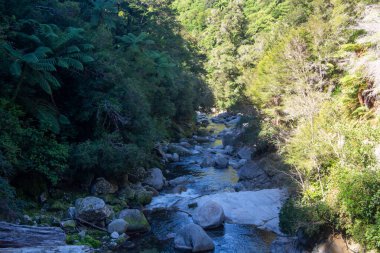 Büyük kayalar ve canlı yapraklarla çevrili yemyeşil bir ormanın içinden akan sakin bir nehir. Güneş ışığı ağaçların arasından süzülüp, barışçıl bir atmosfer yaratır..