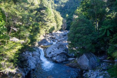 Büyük kayalar ve ağaçlarla çevrili yemyeşil bir ormanın içinden akan sakin bir nehir. Güneş ışığı yaprakların arasından süzülüp barışçıl bir atmosfer yaratır..