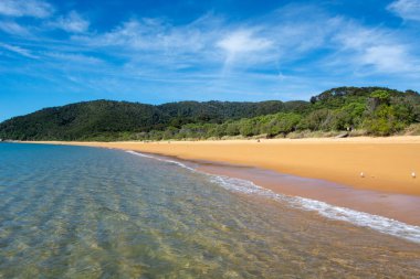 Pırıl pırıl bulutlarla dolu parlak mavi gökyüzünün altında yemyeşil tepeler ve altın kum ve berrak mavi sularla dolu sakin bir sahil sahnesi..