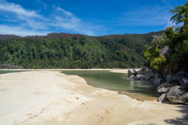 Berrak mavi gökyüzünün altında yemyeşil tepeler ve ağaçlarla çevrili sakin sulara açılan kumlu bir sahilin sahnesi. Manzara huzuru ve doğal güzelliği çağrıştırıyor..