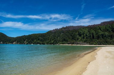 Altın kumun, turkuaz suların ve parlak mavi bulutların altında yemyeşil tepelerin olduğu sakin bir sahil sahnesi..