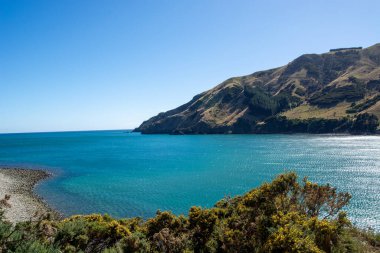 Berrak mavi bir okyanus, kayalık bir kıyı şeridi ve parlak mavi gökyüzünün altında yemyeşil tepeler barındıran sakin bir kıyı manzarası. Sahne sükuneti ve doğal güzelliği yansıtıyor..