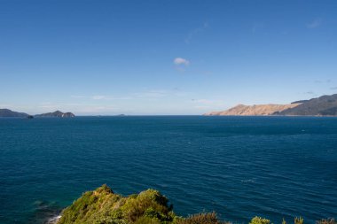 Berrak bir gökyüzünün altında uçsuz bucaksız mavi bir okyanusu barındıran sakin bir kıyı manzarası. Manzara, uzak tepeleri ve ön plandaki yemyeşil alanları kapsıyor ve barışçıl bir atmosfer yaratıyor..