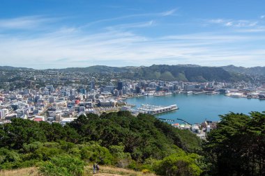 Wellington, Yeni Zelanda 'nın panoramik manzarası, açık mavi gökyüzü altında şehrin ufuk çizgisi, liman ve yemyeşil tepeleri sergileniyor..