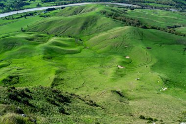 Arkasında dolambaçlı bir nehir bulunan yemyeşil tepelerin ve vadilerin havadan görünüşü. Manzara, yuvarlanan arazi, çimen parçaları ve huzurlu doğal bir çevreye sahiptir..