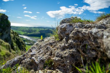Yeşil çimenli kayalık bir yüzeye yakın çekim ve arka planda manzaralı bir manzara. Gökyüzü, dağınık bulutlarla aydınlıktır. Ufuk kıvrılan tepeler ve bir su kütlesi içerir..