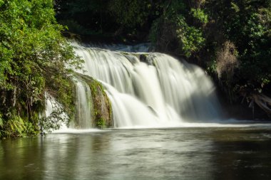 Bereketli yeşillik ve ağaçlarla çevrili sakin bir nehirde kayaların üzerinden çağlayan sakin bir şelale. Su sorunsuzca akıyor, sakin bir atmosfer yaratıyor..