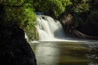 Bereketli yeşillik ve ağaçlarla çevrili sakin bir nehirde kayaların üzerinden çağlayan sakin bir şelale. Su sorunsuzca akıyor, sakin bir atmosfer yaratıyor..