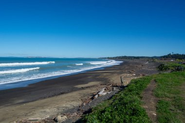 Sahil sahili, üzerinde açık mavi bir gökyüzü olan dalgaların kıyıya vurduğu sakin bir sahnedir. Kumlu sahil dallarla kaplı ve yemyeşil çimlerle çevrili..