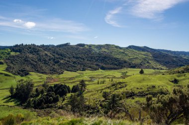 Bereketli yeşil tepelerin ve açık mavi gökyüzünün altındaki vadilerin manzarası. Manzarada yuvarlanan tepeler, ağaçlar ve doğa severler için ideal sakin bir atmosfer yer alıyor..
