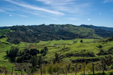 Açık mavi bir gökyüzünün altında yuvarlanan yeşil tepelerin yer aldığı manzaralı bir manzara. Ön planda bir çit bulunurken, arka planda gür bitki örtüsü ve uzak tepeler yer alıyor..