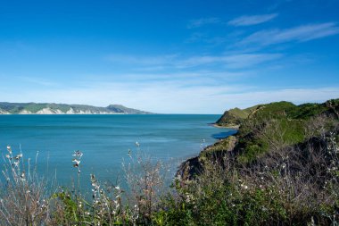 Sakin mavi bir okyanus, yeşil tepeler ve açık mavi bir gökyüzünün olduğu manzaralı bir kıyı manzarası. Ön planda çalılar ve bitkiler yer alırken, arka planda kayalıklar ve uzak dağlar yer alıyor..