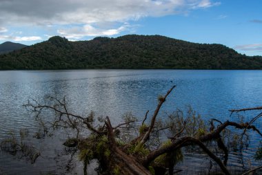 Parçalı bulutlu bir gökyüzünün altında yemyeşil tepelerle çevrili sakin bir göl. Devrilen bir ağaç dalı, sakin manzarayı yansıtan suya doğru uzanıyor..