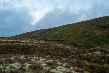 Bereketli yeşil çimenler ve kenevir parçalarıyla kaplı yuvarlanan tepeleri barındıran huzurlu bir manzara. Gökyüzü gri bulutlarla kaplı, karamsar bir atmosfer yaratıyor. Arazi engebeli ve doğal. Açık hava aktiviteleri için ideal..