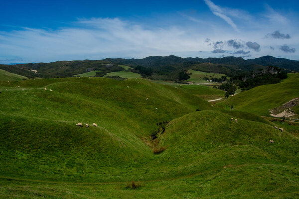 Живописный пейзаж с катящимися зелеными холмами под голубым небом с разбросанными облаками. Овцы мирно пасутся на пышной траве, создавая спокойную сельскую атмосферу..
