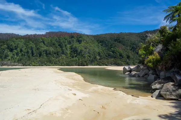 Berrak mavi gökyüzünün altında yemyeşil tepeler ve ağaçlarla çevrili sakin sulara açılan kumlu bir sahilin sahnesi. Manzara huzuru ve doğal güzelliği çağrıştırıyor..