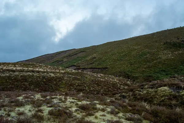 Bereketli yeşil çimenler ve kenevir parçalarıyla kaplı yuvarlanan tepeleri barındıran huzurlu bir manzara. Gökyüzü gri bulutlarla kaplı, karamsar bir atmosfer yaratıyor. Arazi engebeli ve doğal. Açık hava aktiviteleri için ideal..