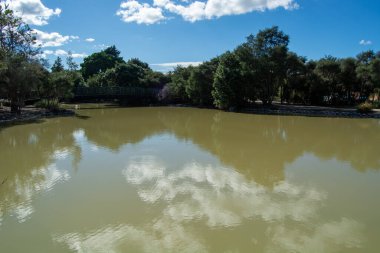 Parlak mavi gökyüzünün altında bulutları ve ağaçları yansıtan sakin bir gölet. Su sakin, biraz bulanıklık var, yemyeşil ve arka planda bir köprü var..