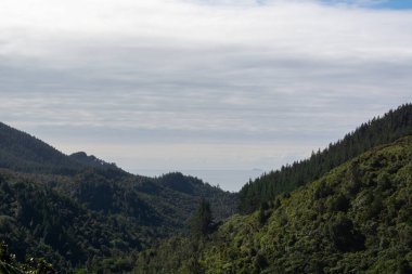 Bereketli yeşil dağların ve vadilerin manzarası bulutlu bir gökyüzünün altında, okyanusun bir anlık görüntüsüyle..