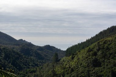 Bereketli yeşil tepelerin ve vadilerin manzarası bulutlu bir gökyüzünün altında, okyanus uzaklardan görülebiliyor..