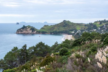 Kumlu bir sahil manzarası, yemyeşil tepeler ve bulutlu bir gökyüzünün altındaki uzak adalar. Ön planda ağaçlar ve kıyı bitkileri var, sakin bir atmosfer yaratıyorlar..