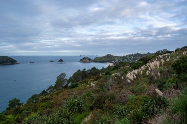 Bereketli yeşillik, kayalık adalar ve bulutlu bir gökyüzünün altında sakin bir deniz manzarası. Manzara suya inen dolambaçlı bir yolu içeriyor..