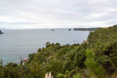 Bereketli yeşillik, kayalık çıkıntılar ve bulutlu bir gökyüzü altında sakin suların yer aldığı sakin bir kıyı manzarası. Sahne, doğanın sükunetini yakalar..